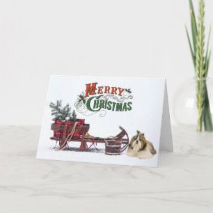Rustic Shih Tzu Christmas Karte