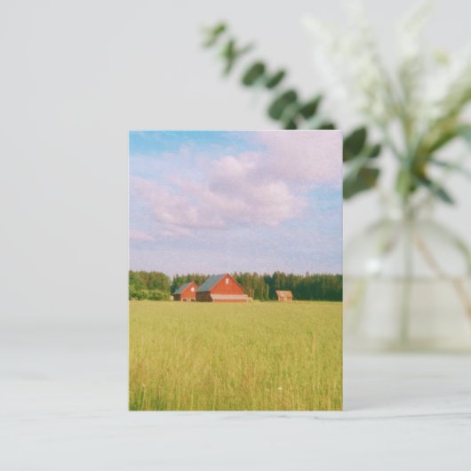 Rustic summer field, Helsingia, Sweden Postkarte (Stehend Vorderseite)