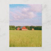 Rustic summer field, Helsingia, Sweden Postkarte (Vorderseite)