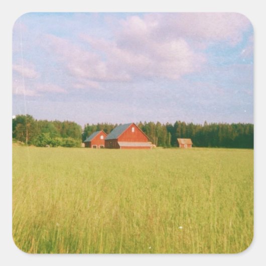 Rustic summer field, Helsingia, Sweden Quadratischer Aufkleber (Vorderseite)