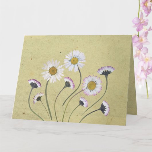 Rustic Vintag Daisies Einfaches Design Karte (Orchidee)