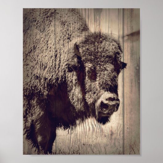Rustic Wood Buffalo Foto Wild Western Poster (Vorne)