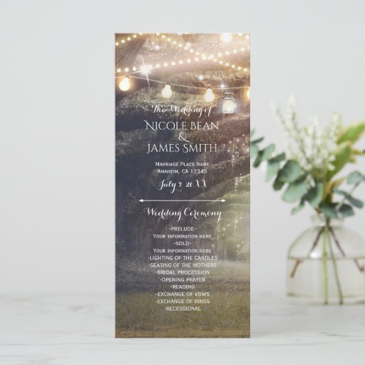 Rustic Woods Enchanteter Wald & Lichterprogramm Programm (Stehend Vorderseite)