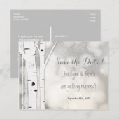 Rustige Birke Winter Schnee Save Date Postkarte (Vorne/Hinten)