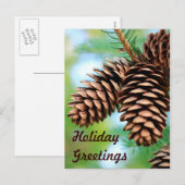 Rüstige Kiefernzapfen Postkarte (Vorne/Hinten)