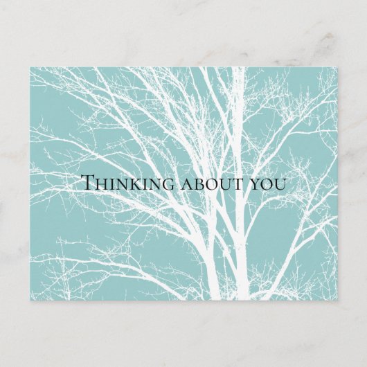 Rustikal blaue, weiße Baumzweige Postkarte (Vorderseite)