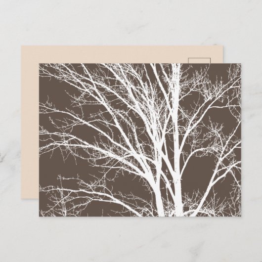 Rustikal-braune Weiße Baumzweige Postkarte (Vorne/Hinten)