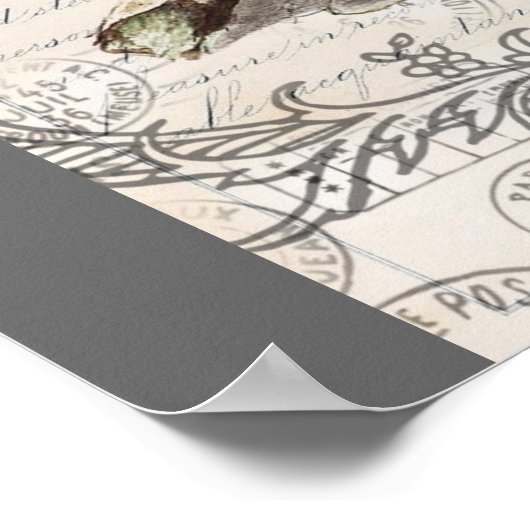 rustikal-chic-französisches botanisches Vogelnest Poster (Ecke)