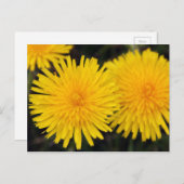 Rustikal-Gelber Löwenzahn Blume Postkarte (Vorne/Hinten)