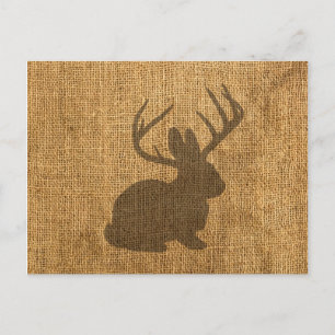 Rustikal Jackalope Postkarte