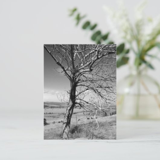 Rustikal Postkarte (Stehend Vorderseite)