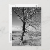 rustikal postkarte (Vorne/Hinten)