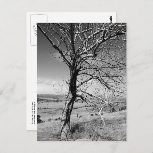 rustikal postkarte (Vorne/Hinten)