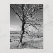 rustikal postkarte (Vorderseite)