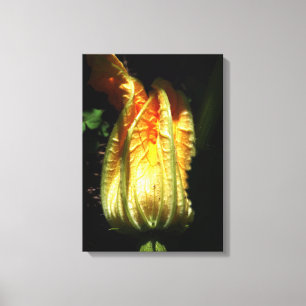 Rustikal, Pumpkin Blossom Wrapped Canvas Leinwanddruck