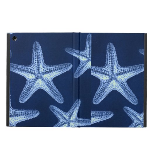 Rustikal-Seesternisch an der Küste (Vorderseite)