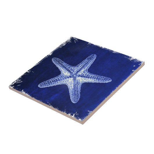 Rustikal-Seesternisch an der Küste Fliese (Seite)