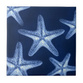 Rustikal-Seesternisch an der Küste Fliese (Vorderseite)