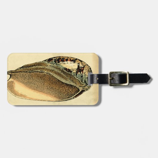 Rustikal Vintag Seashell Gepäckanhänger (Vorderseite horizontal)