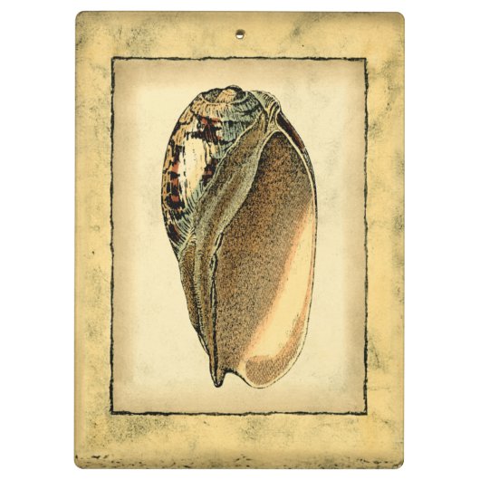 Rustikal Vintag Seashell Klemmbrett (Rückseite)
