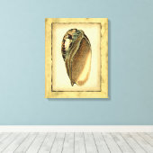 Rustikal Vintag Seashell Leinwanddruck (Insitu (Holzboden))