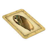 Rustikal Vintag Seashell Magnet (Rechte Seite)