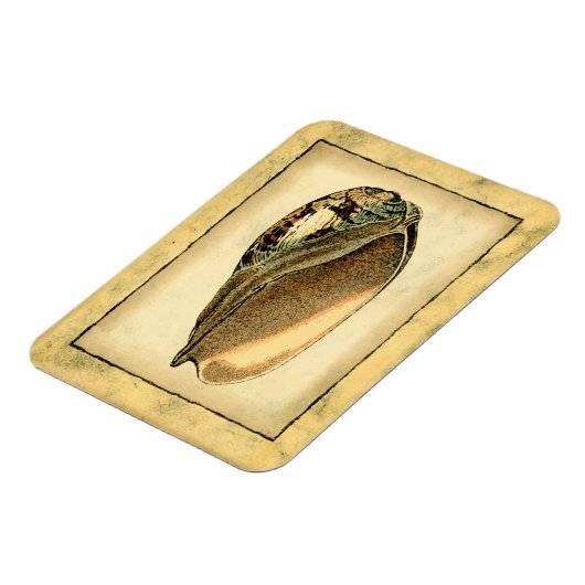 Rustikal Vintag Seashell Magnet (Linke Seite)