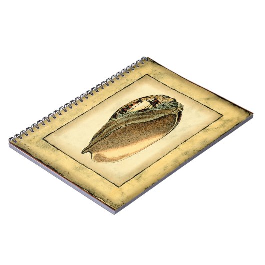 Rustikal Vintag Seashell Notizblock (Linke Seite)