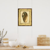 Rustikal Vintag Seashell Poster (Küche)