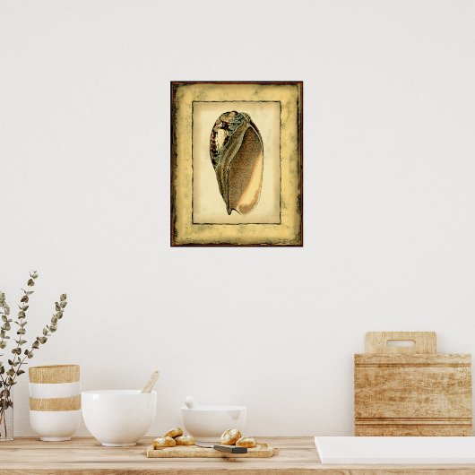 Rustikal Vintag Seashell Poster (Küche)