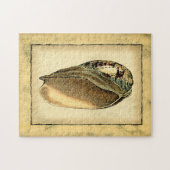 Rustikal Vintag Seashell Puzzle (Horizontal)