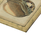 Rustikal Vintag Seashell Schneidebrett (Ecke)