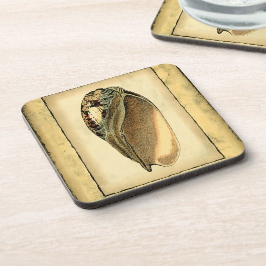 Rustikal Vintag Seashell Untersetzer (Linke Seite)