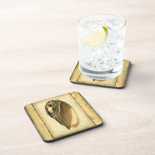 Rustikal Vintag Seashell Untersetzer (Rechte Seite)