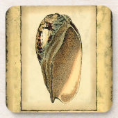 Rustikal Vintag Seashell Untersetzer (Vorderseite)