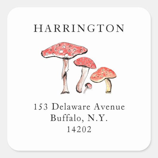 Rustikal Wild Mushrooms Elegante, von Hand Gezeich Quadratischer Aufkleber (Vorderseite)