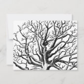 Rustikale Abstrakte Baumzweige in Schwarz und Weiß Mitteilungskarte (Rückseite)