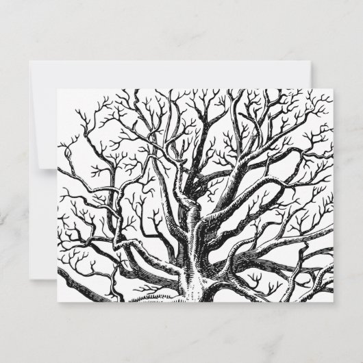 Rustikale Abstrakte Baumzweige in Schwarz und Weiß Mitteilungskarte (Rückseite)