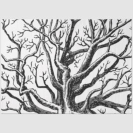 Rustikale Abstrakte Baumzweige in Schwarz und Weiß Seidenpapier