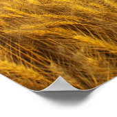 Rustikale alte Scheune im Weizenfeld in den 2 Poster (Ecke)