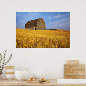 Rustikale alte Scheune im Weizenfeld in den 2 Poster (Küche)