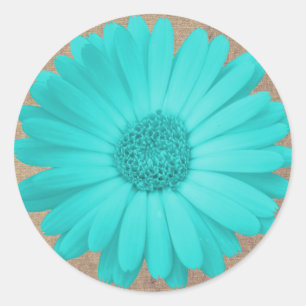 Rustikale Aquamarine Gerber Daisy Round Stickers S
