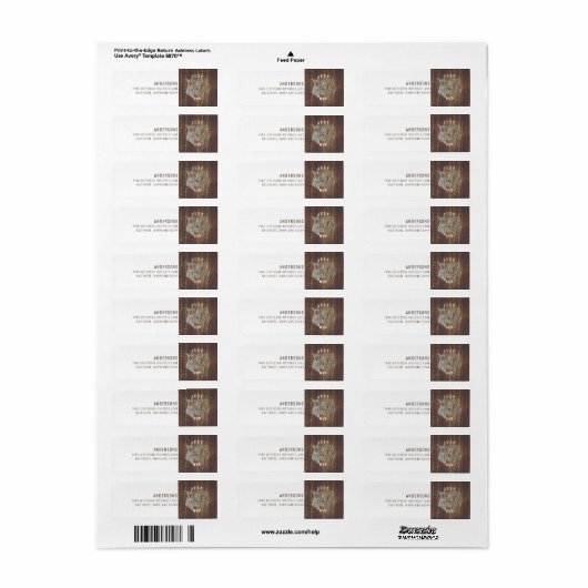 Rustikale Aquarellpferde - Rücksendeadresse nur ge (Vorne)