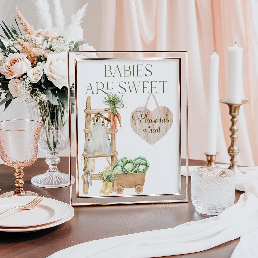 Rustikale Babydusche Süßes Bar Poster