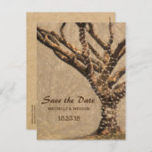 Rustikale Bäume Hochzeit speichern das Datum Ankündigungspostkarte (Vorne/Hinten)