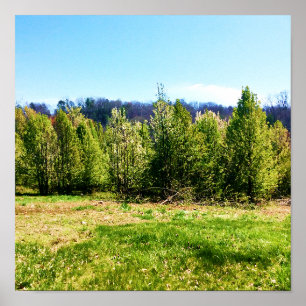 Rustikale Baumlandschaft Foto Poster