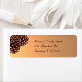 Rustikale, beige Kiefernkonen (Insitu)