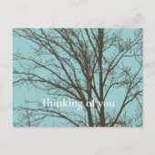 Rustikale, blaubraune Baumzweige Postkarte (Vorderseite)