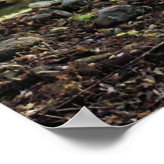 Rustikale Blockhütte Print Poster (Ecke)