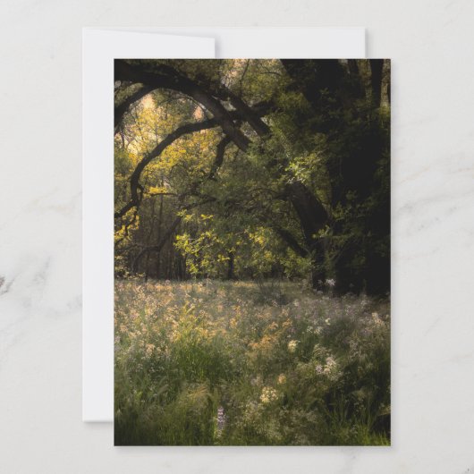 Rustikale, blumengeschmückte Blume im Wald Süß 16 Einladung (Rückseite)